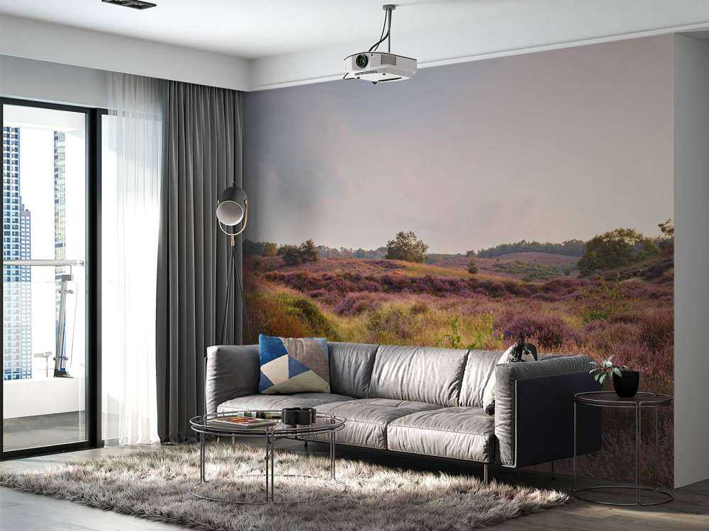 Heathland o wschodzie słońca