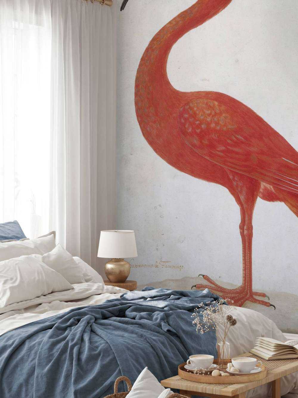 Czerwony Ibis z jajkiem