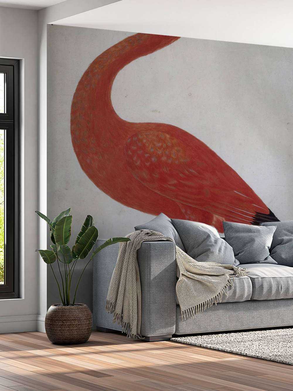 Czerwony Ibis z jajkiem