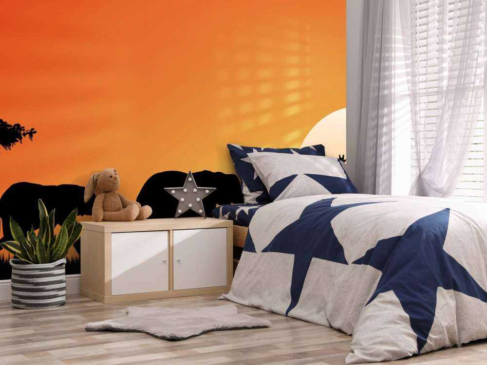 Safari o zachodzie słońca