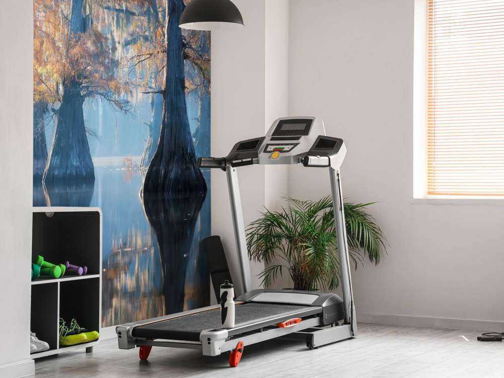 Apparitions of Perpetuity