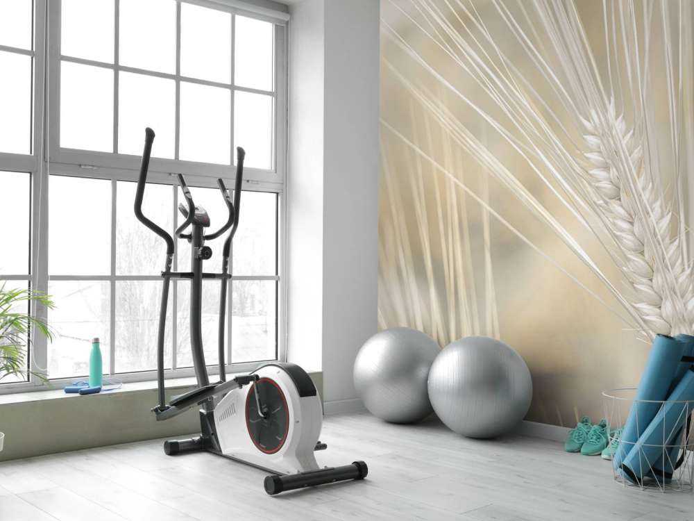 Zbliżenie na pszenicę