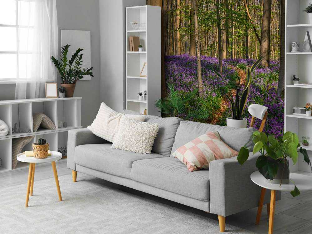 Ścieżka przez las z hiacyntami