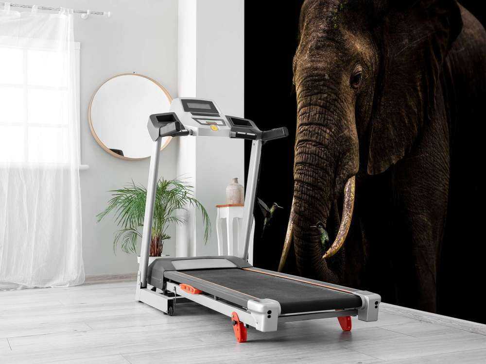 Elephant With Hummingbirds