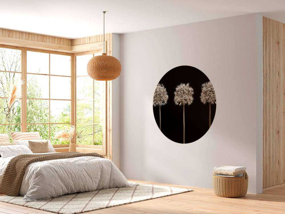 Trzy kwiaty alg w rzędzie