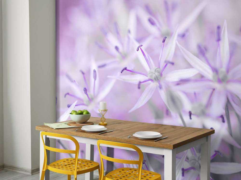 Zbliżenie na kwiaty allium