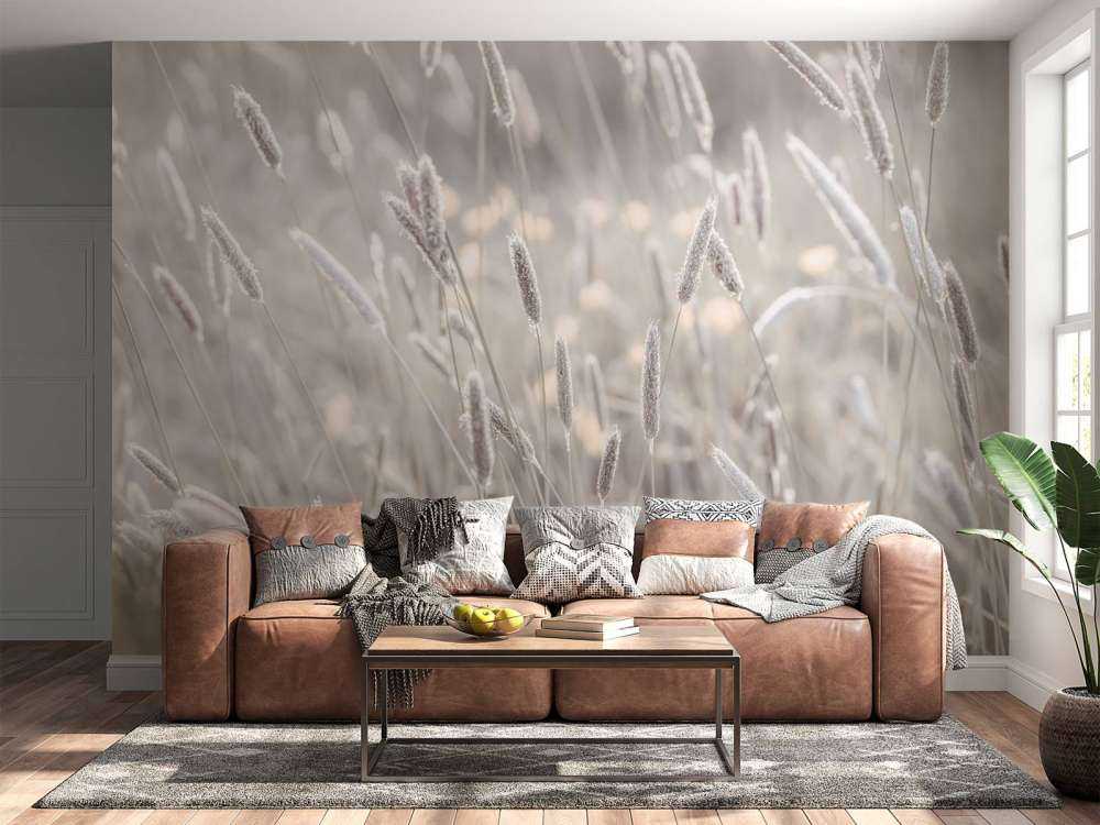 Zbliżenie na łąkę