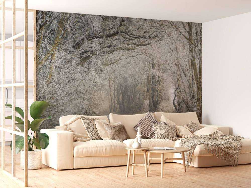 Zamarznięta droga przez las