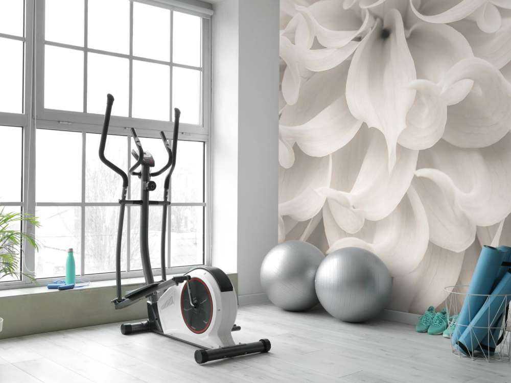 Zbliżenie na kwiat dalii