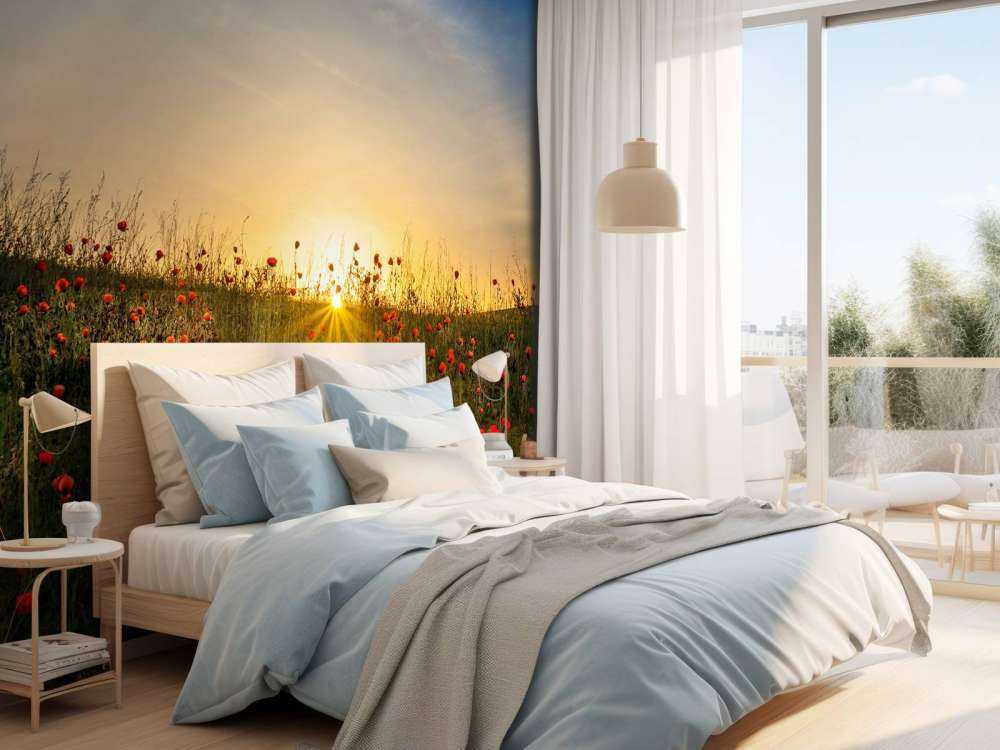 Red poppies and sunrise