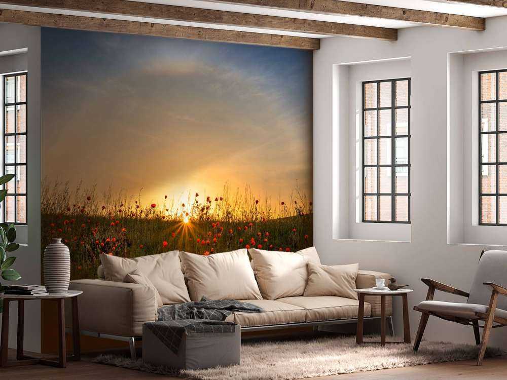 Red poppies and sunrise