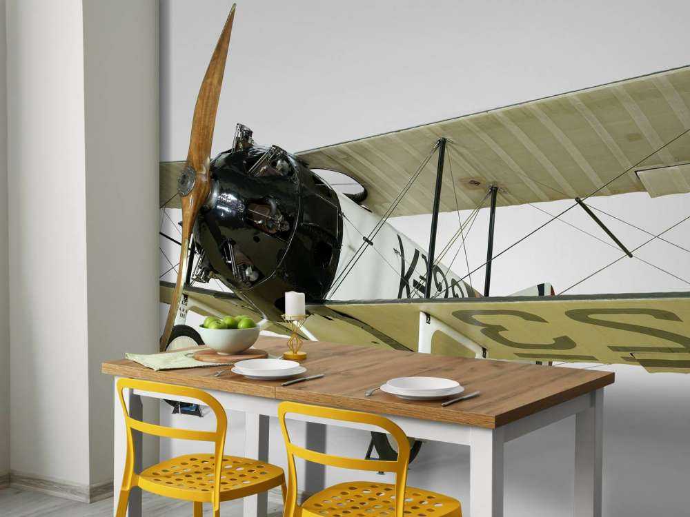 Stary samolot FK 23 Bantam