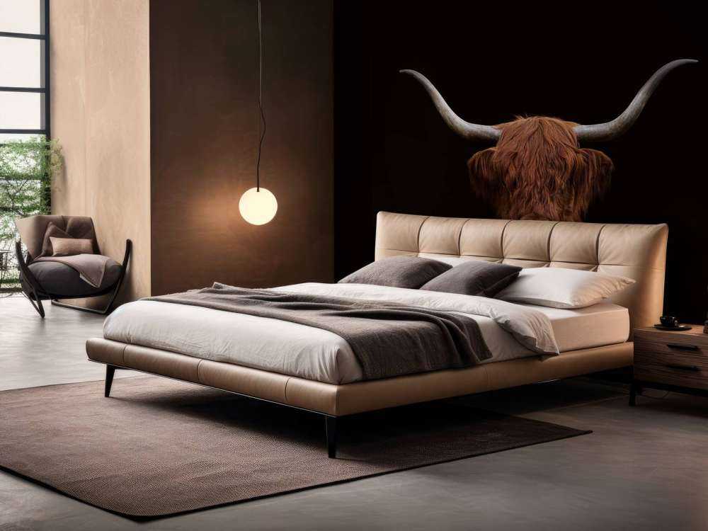 Szkocka rasa wyżynna na ciemnym tle