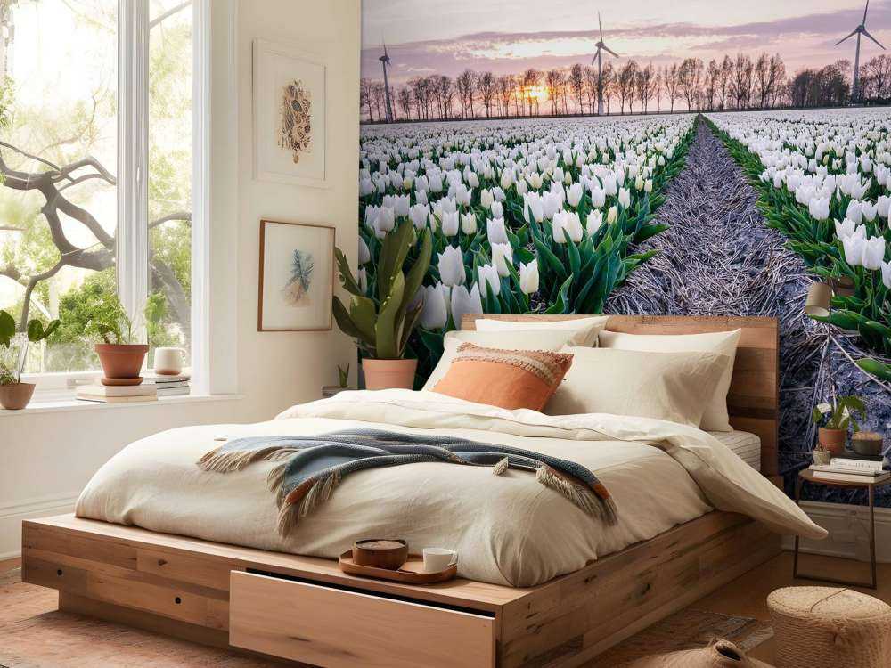 Pole tulipanów białych