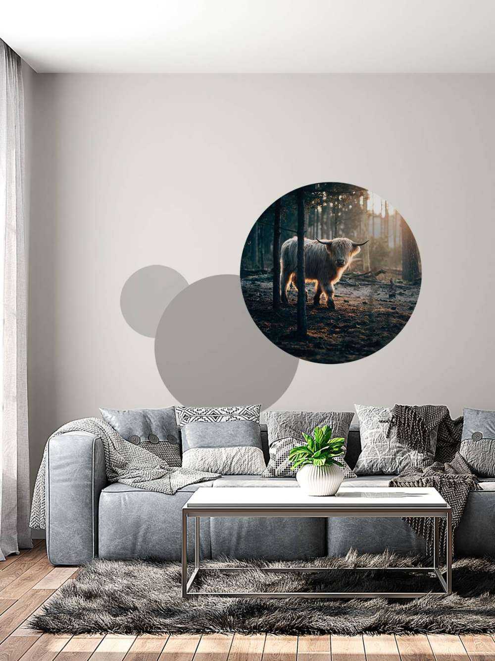 Biały szkocki wyżyn