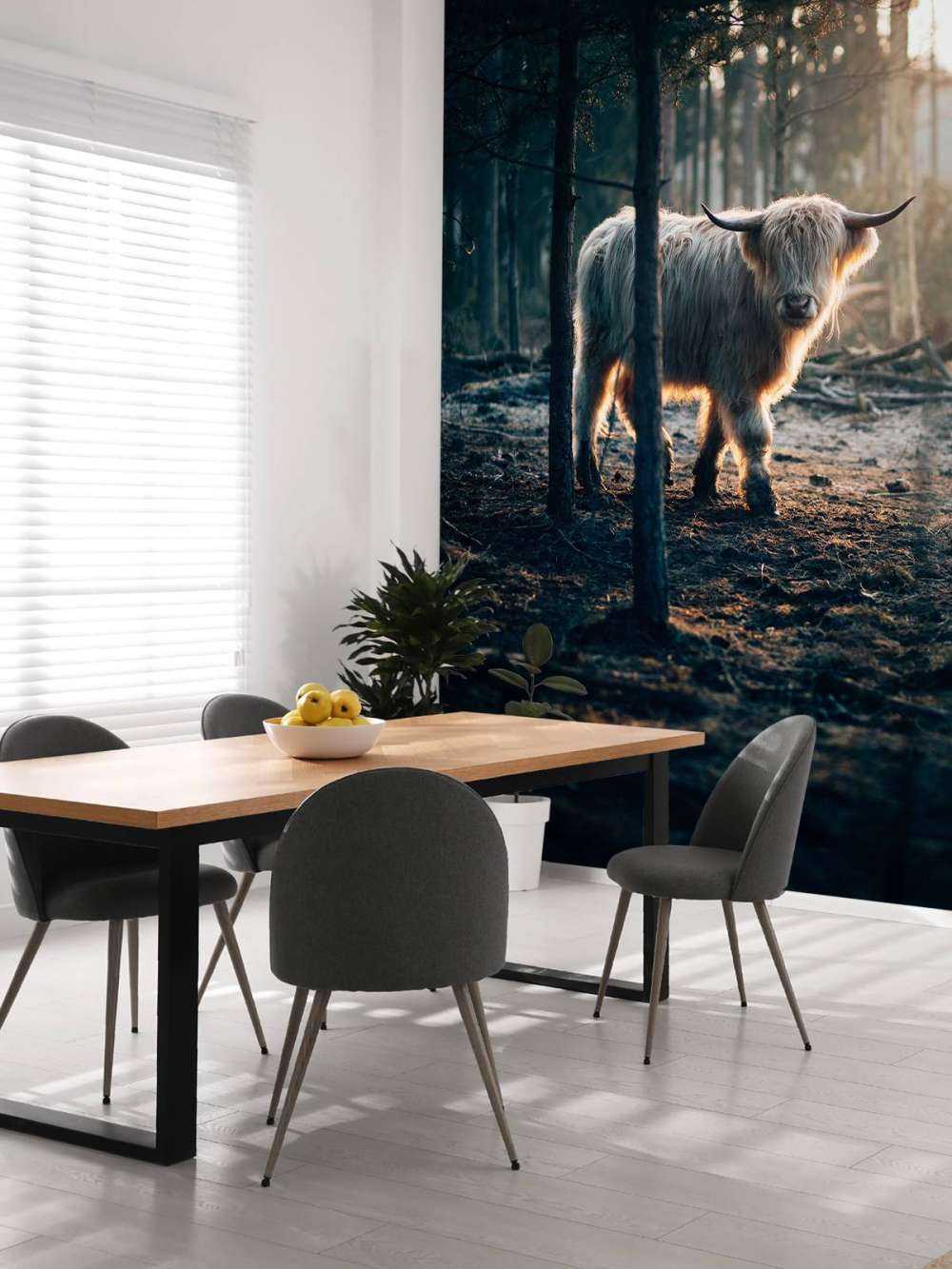 Biały szkocki wyżyn