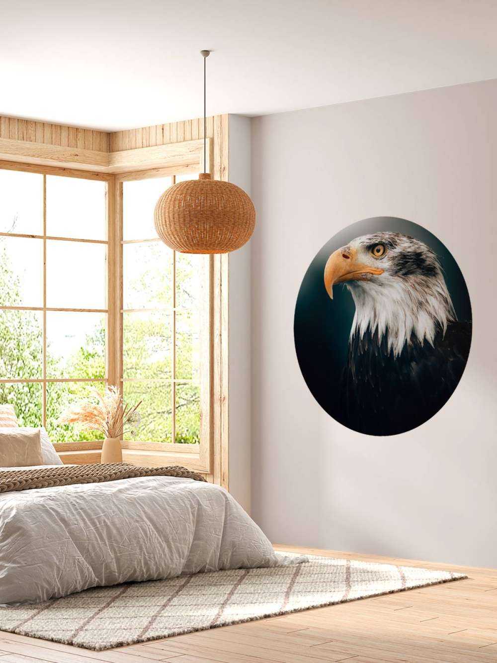 Orzeł morski w zbliżeniu