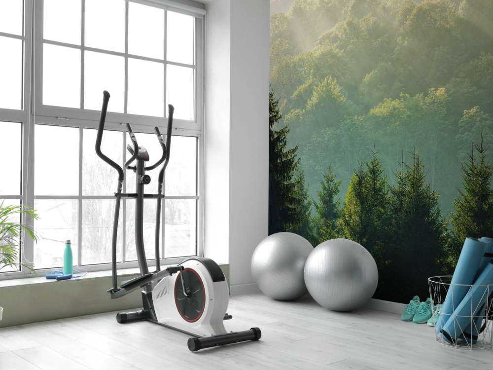 Promienie słońca nad lasem