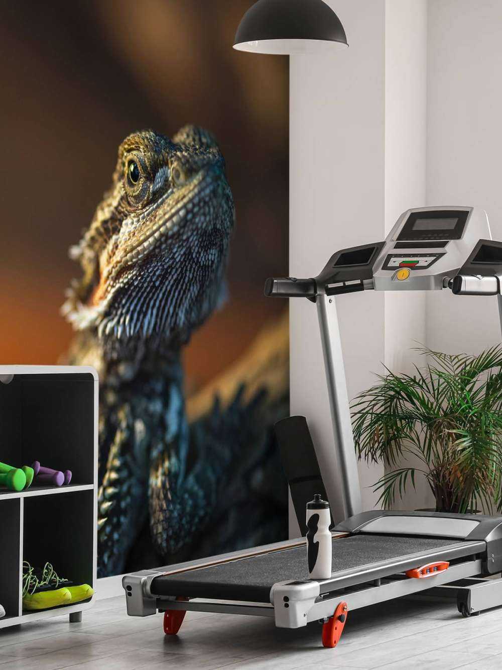 Kameleon w zbliżeniu