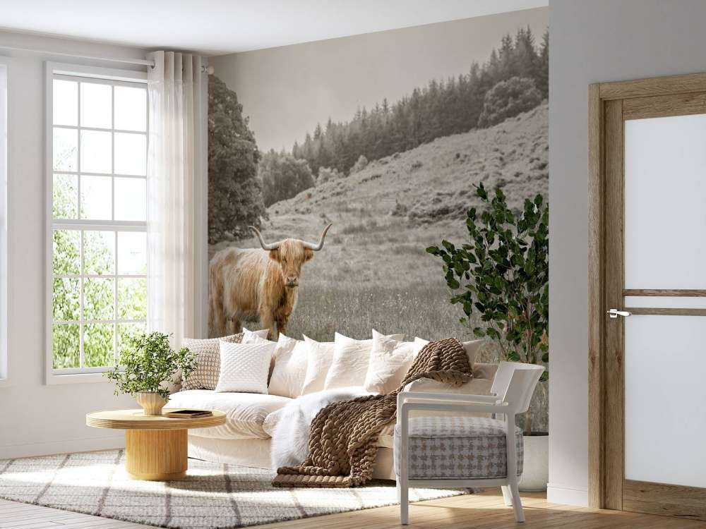 Szkocki wyżyn z cielakiem