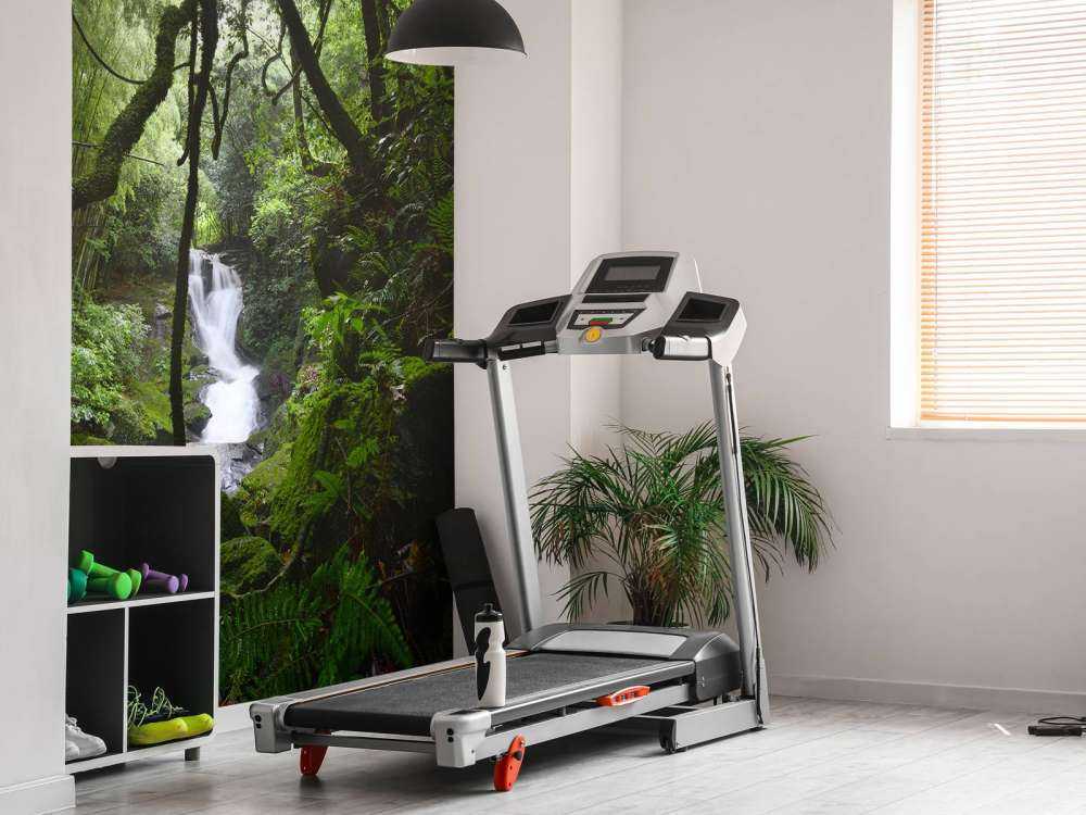 Wodospad otoczony drzewami