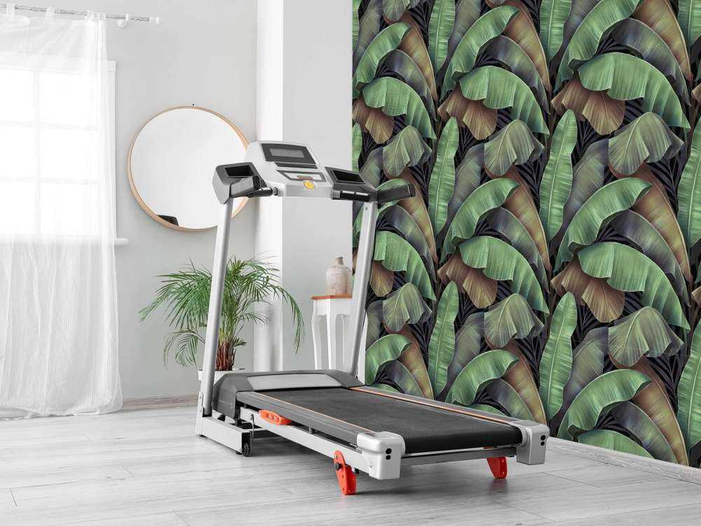 Luksusowe liście bananowca