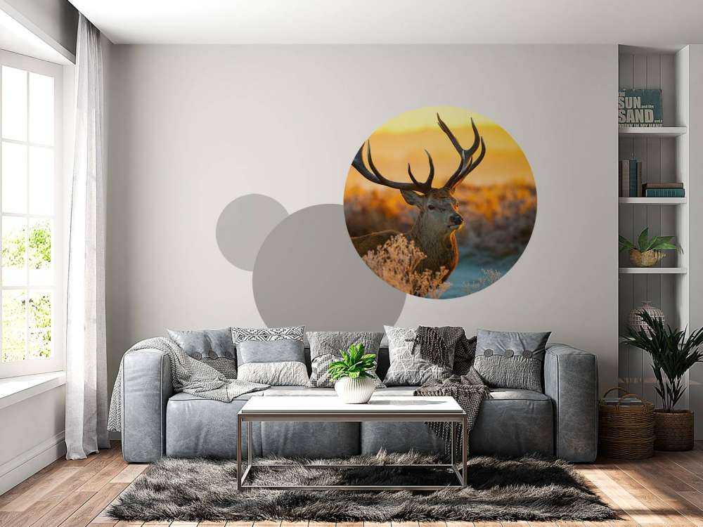 Jeleń w rezerwacie przyrody