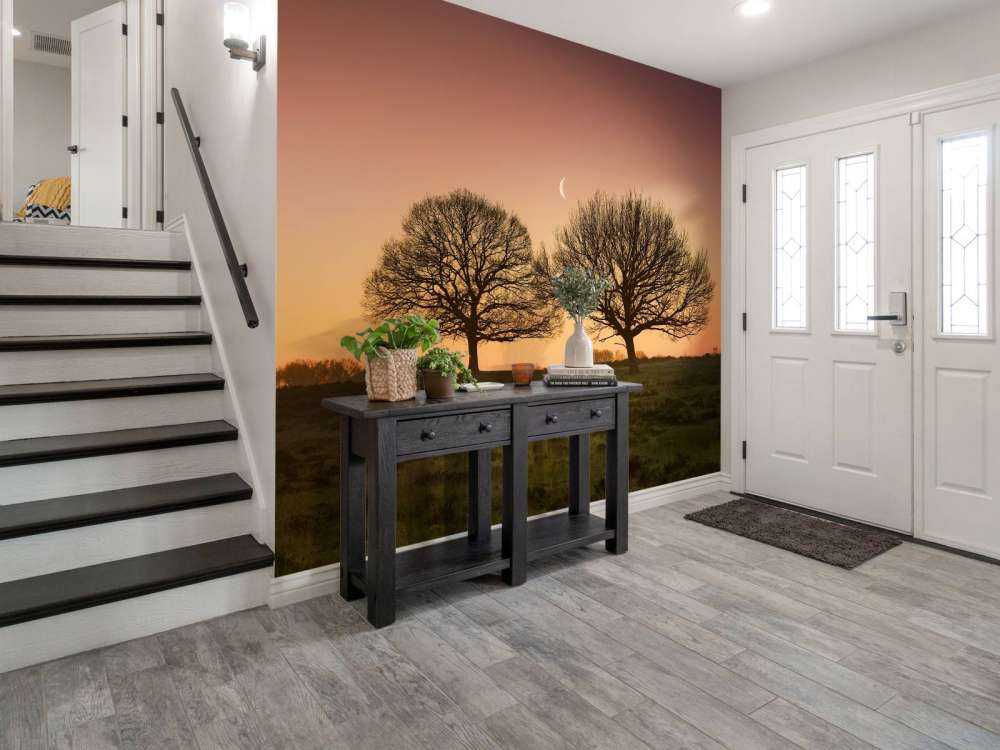 Księżyc między drzewami