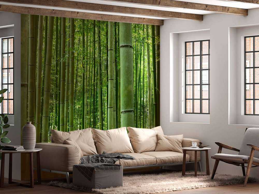 W środku lasu bambusowego