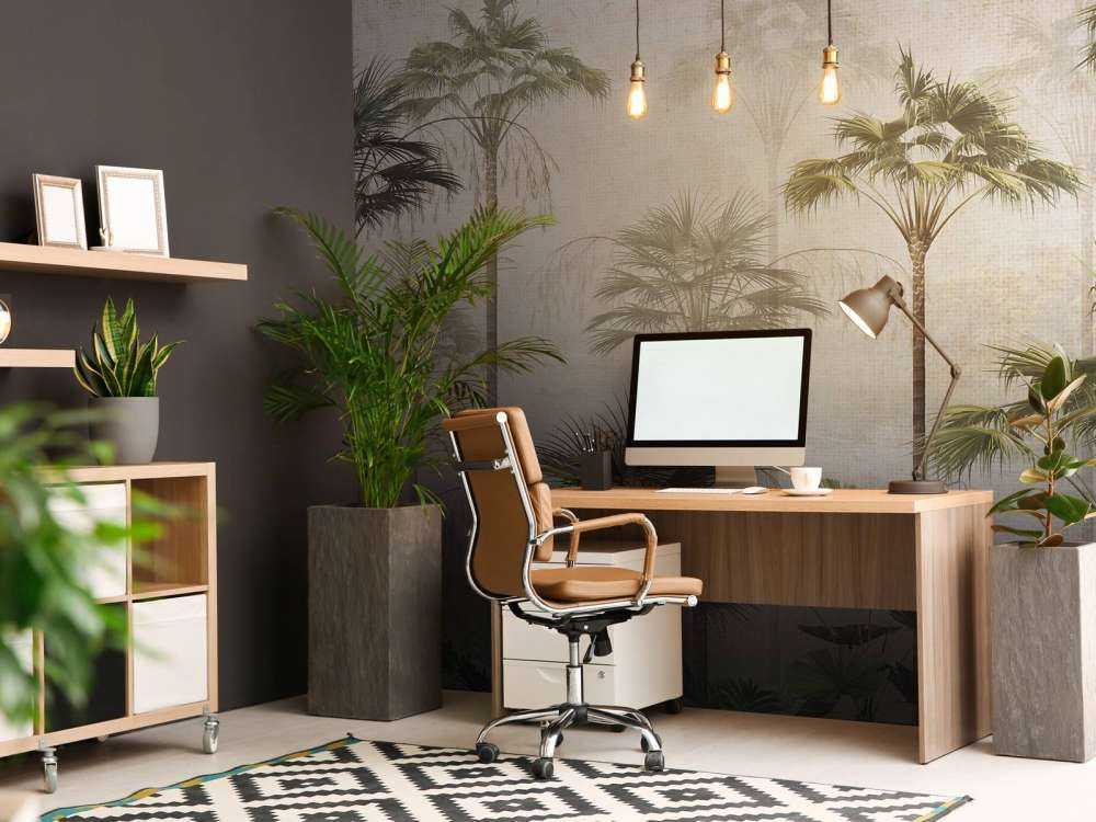 Spokój Stojącej Palmy