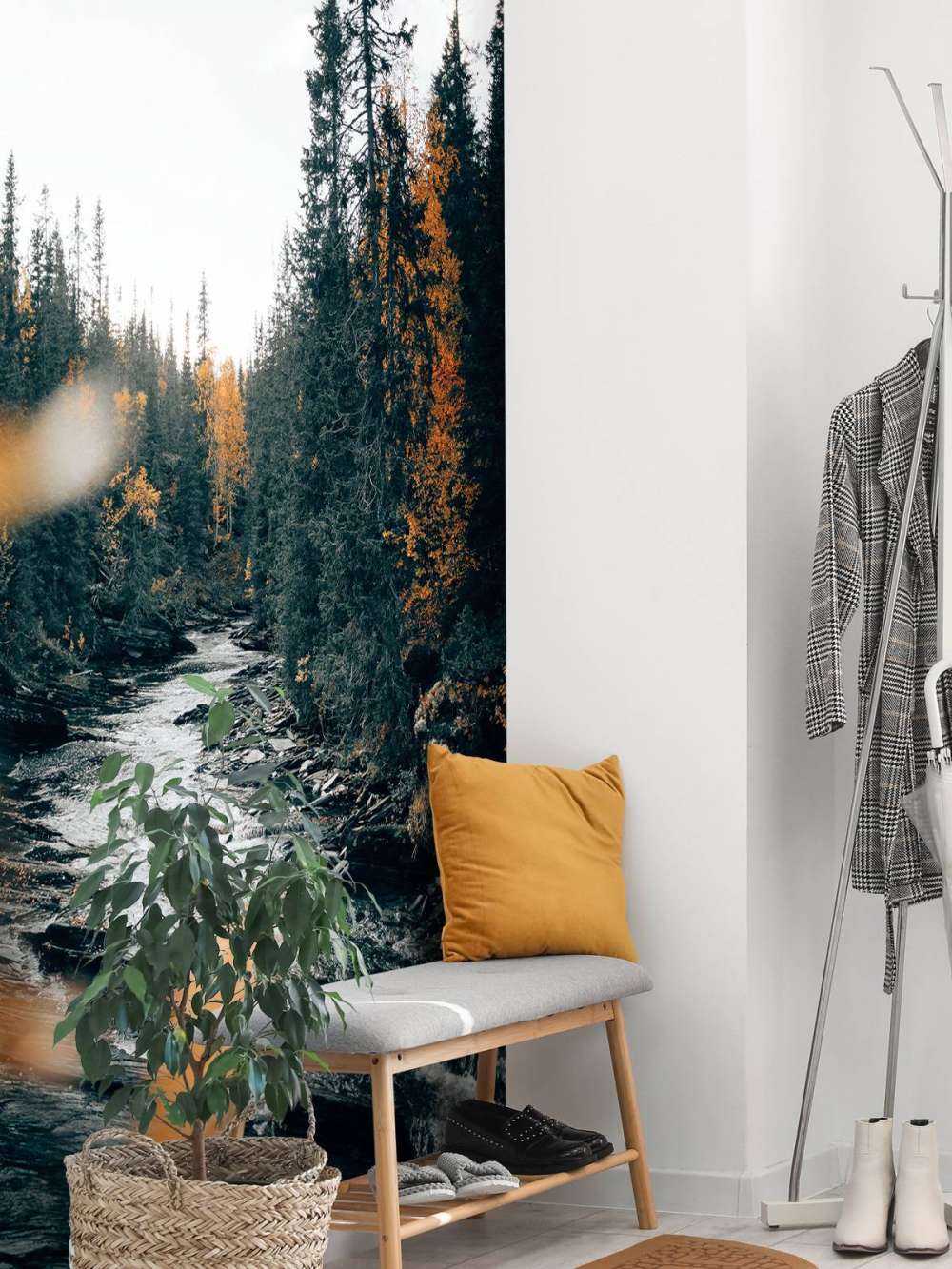 Zaczarowany jesienny las