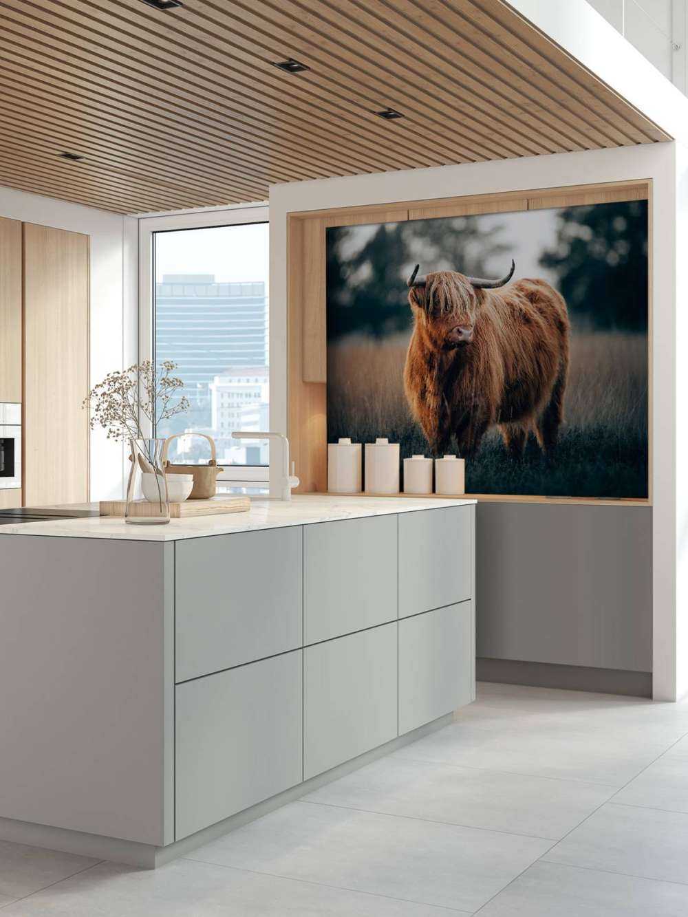 Portret góralskiego bydła