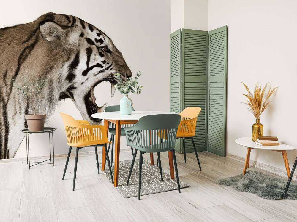 Ryczący tygrys offwhite