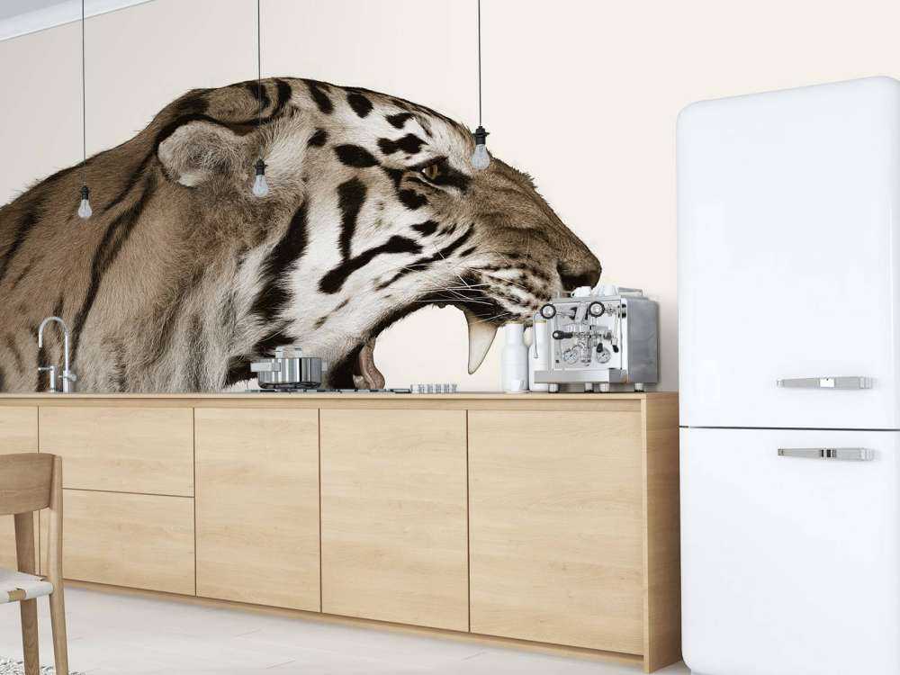 Ryczący tygrys offwhite