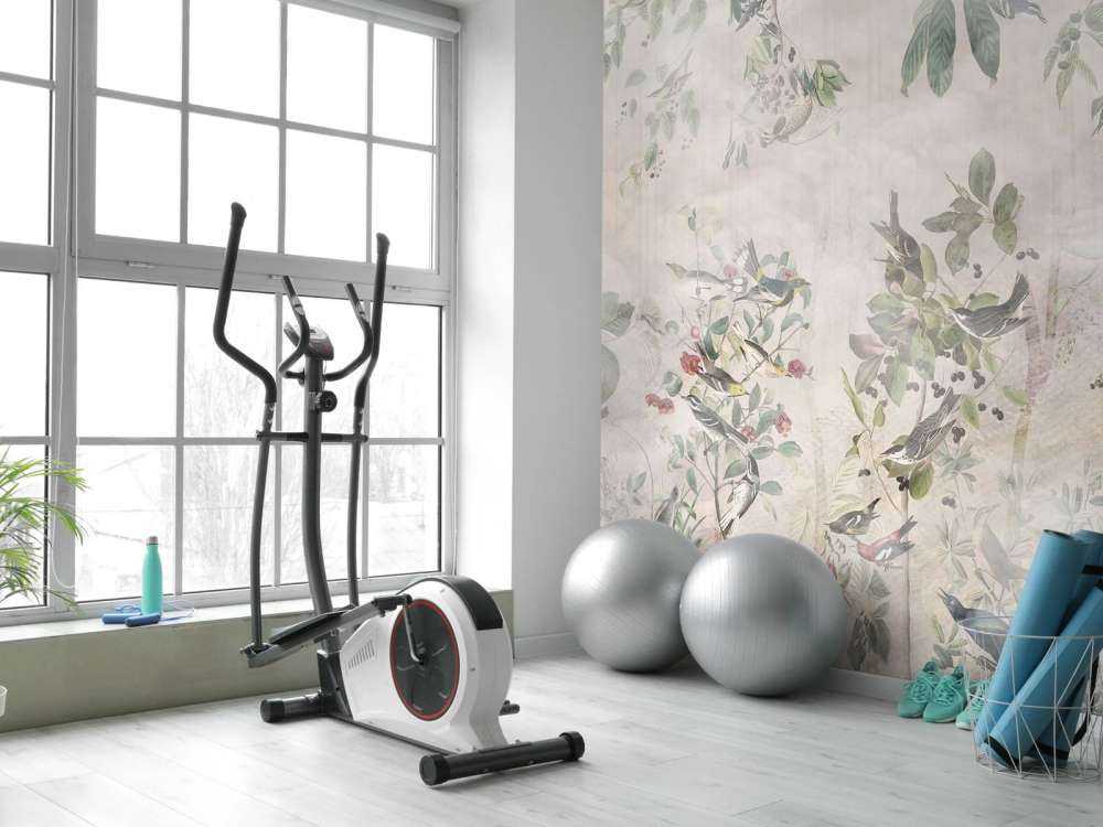 Ptaki leśne w harmonii