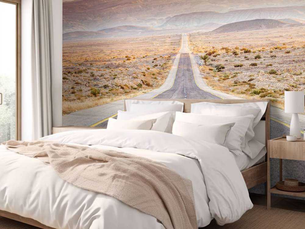 Highway through desert