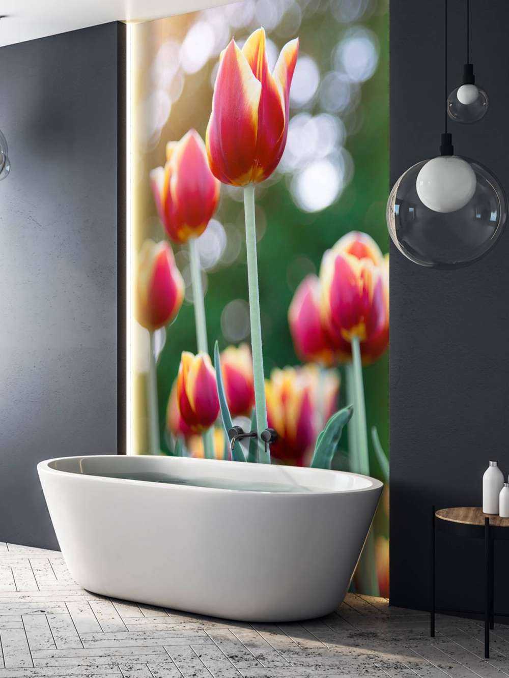 Czerwony z żółtymi tulipanami