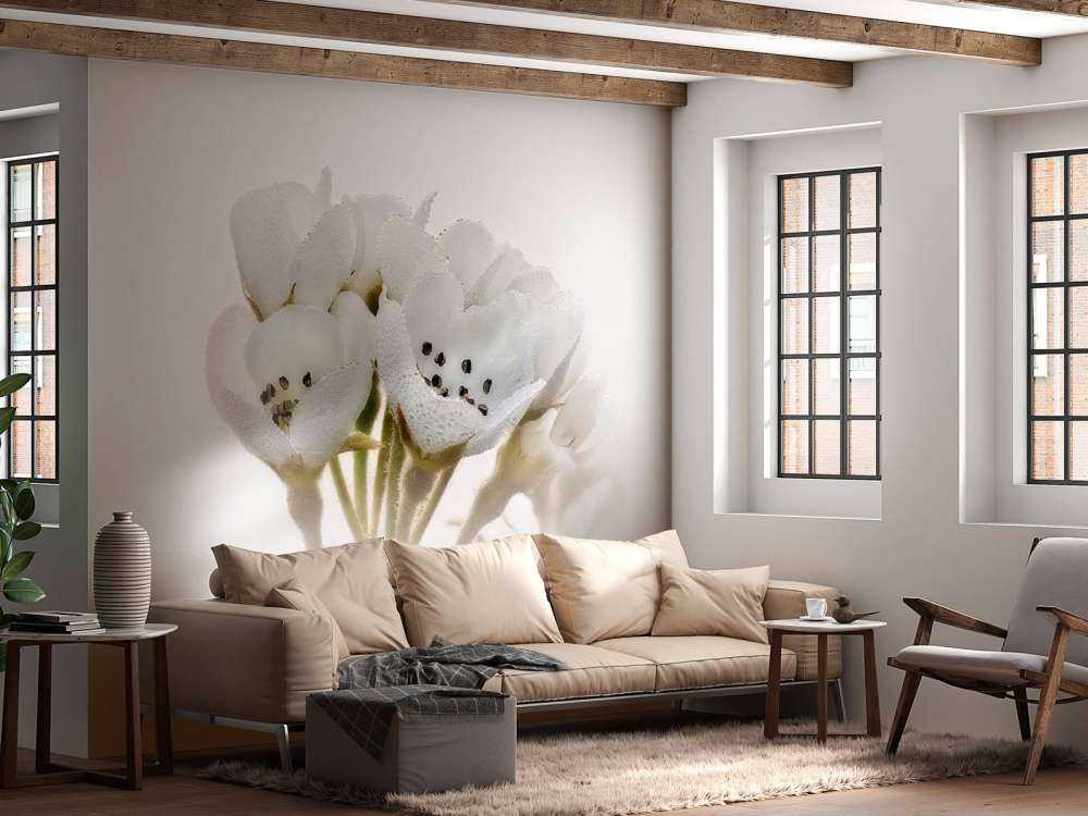 Zbliżenie kwiatu gruszki