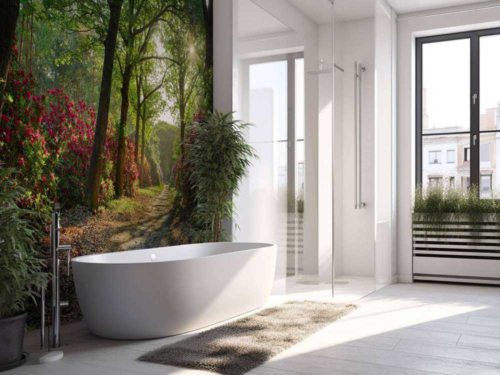 Wschód słońca na ścieżce z rododendronami