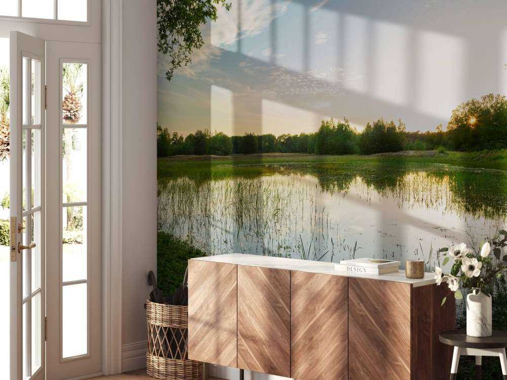 Zachód słońca w lesie