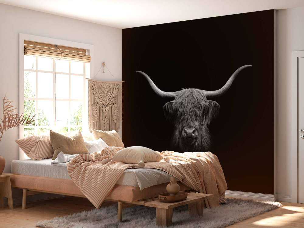 Czarno-biała szkocka rasa wyżynna