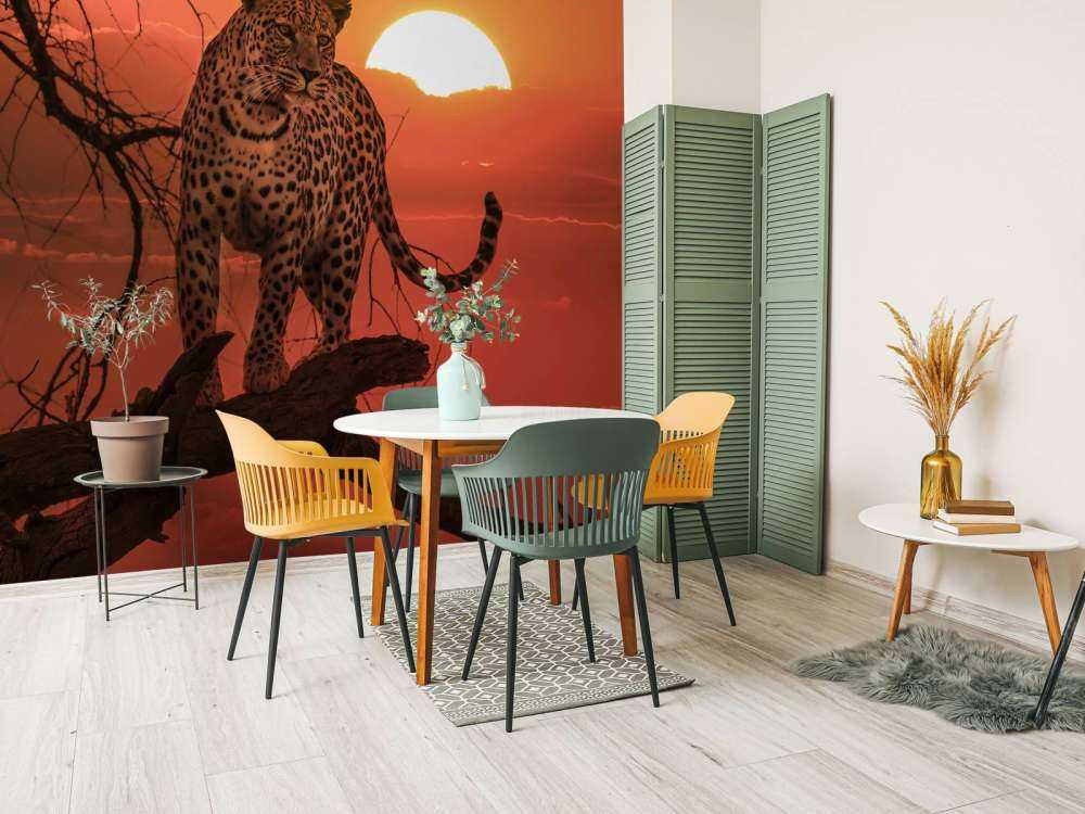 Lampart na tle zachodzącego słońca