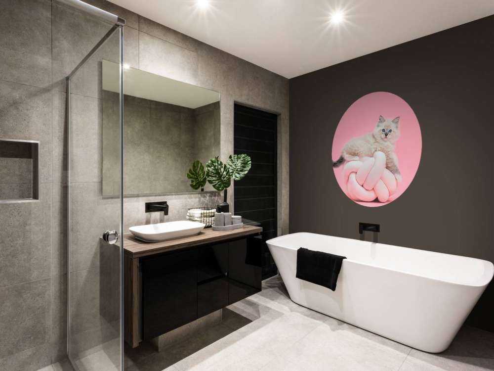 Biały kot na różowym tle