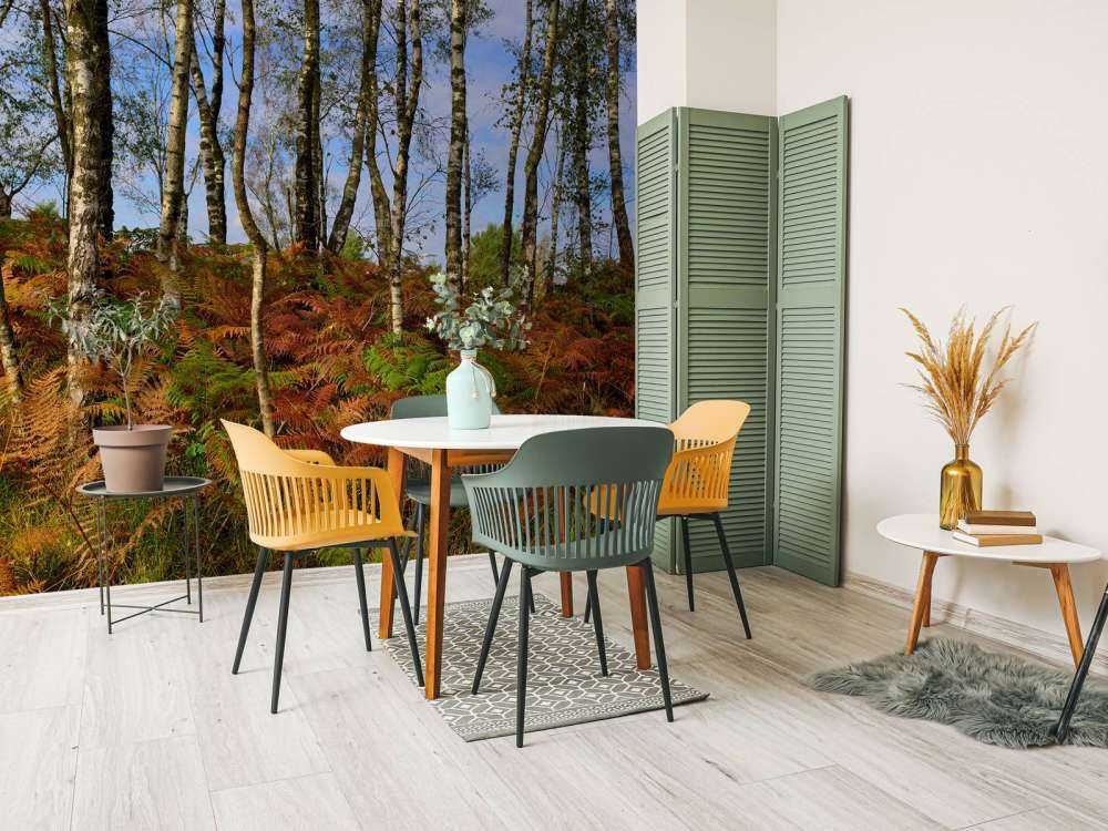 Brzozy z kolorowymi paprociami