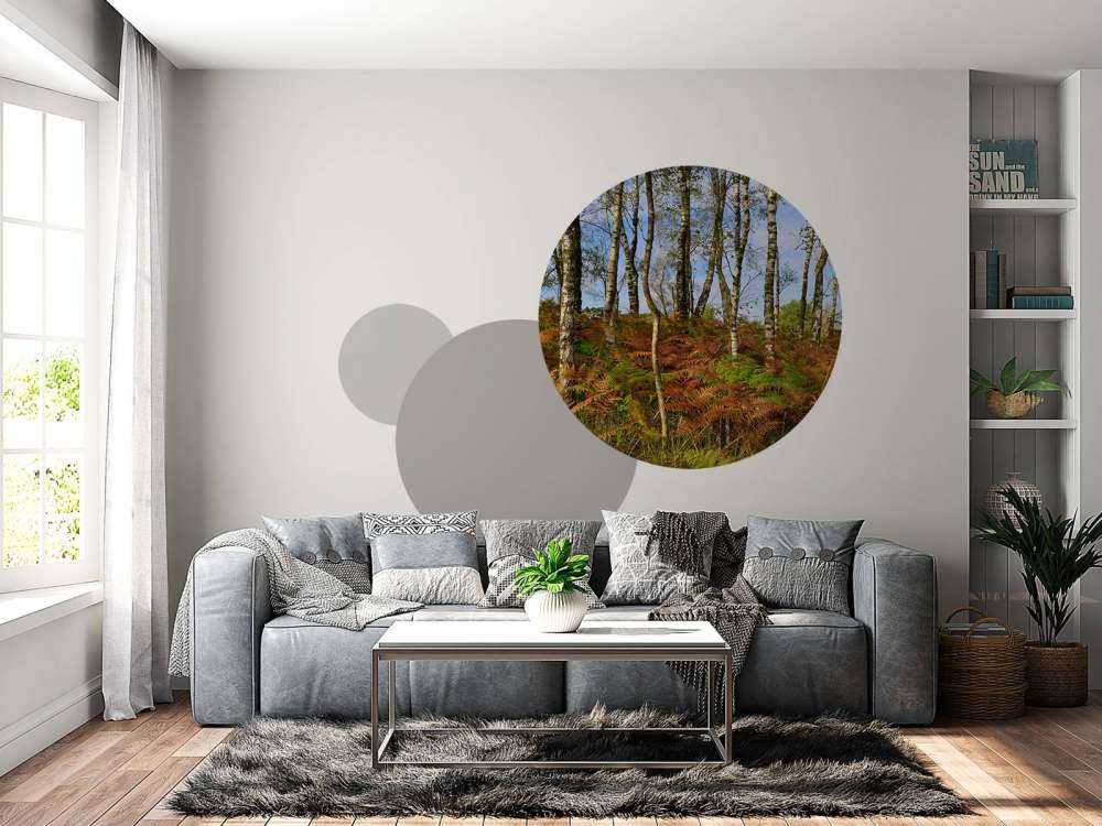 Brzozy z kolorowymi paprociami