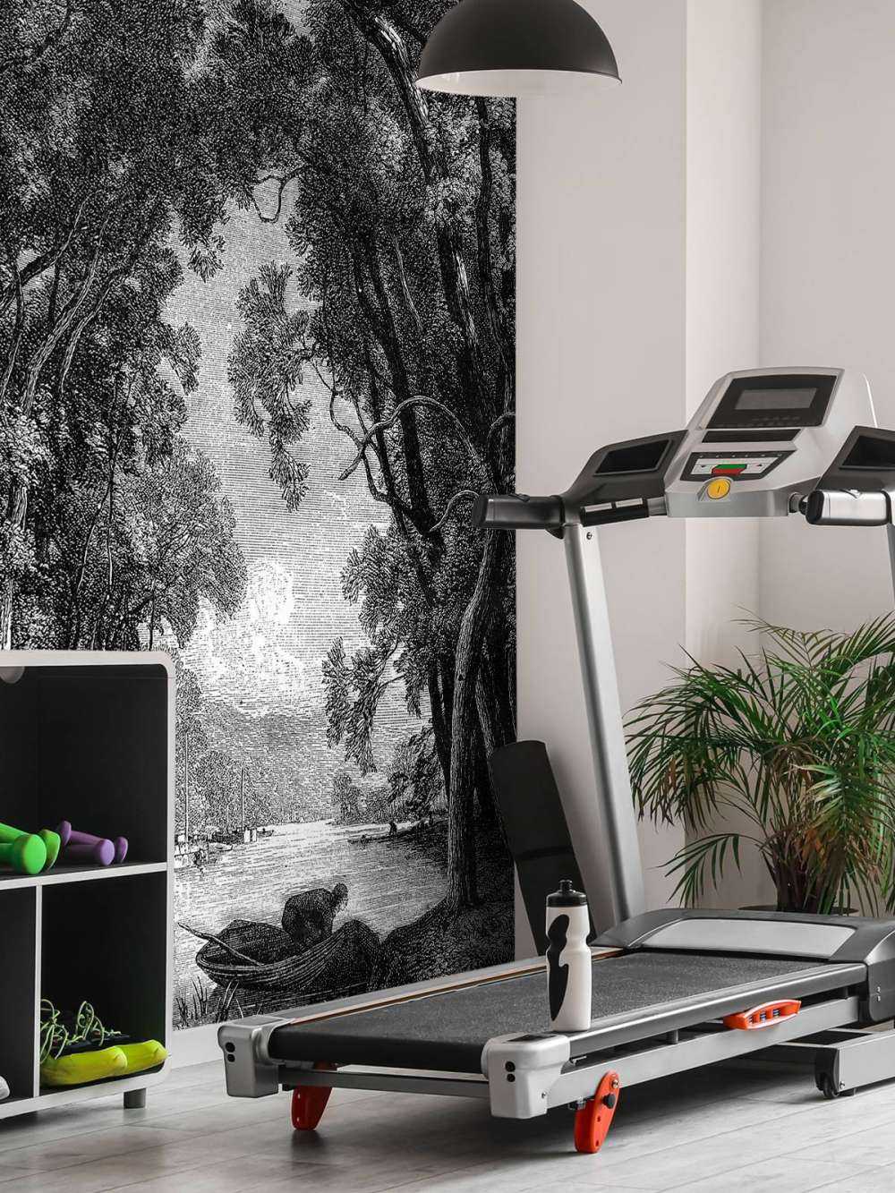 Stara rzeka w dżungli