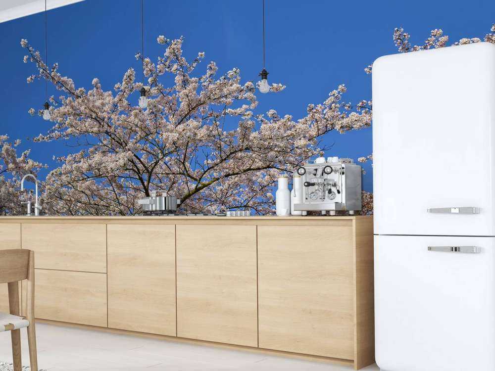 Kwiat z błękitem nieba