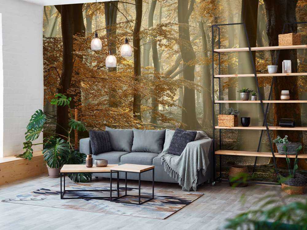 Jesienne kolory w lesie