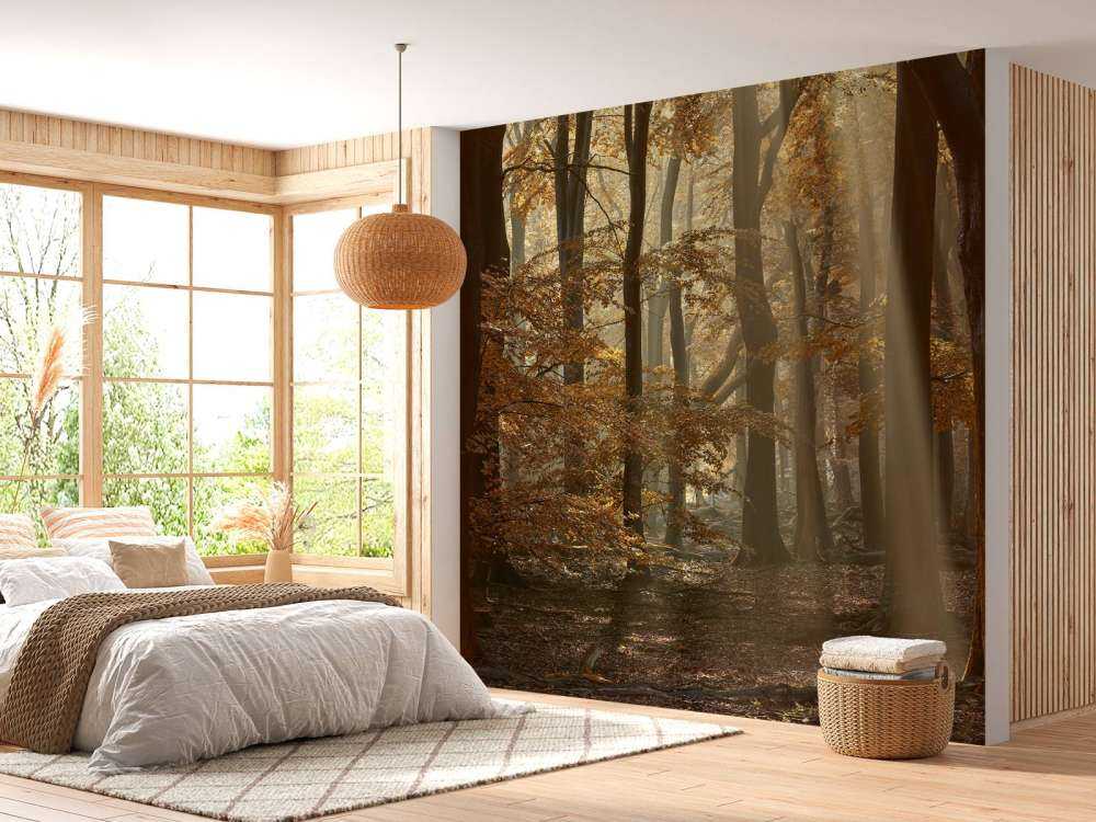 Jesienne kolory w lesie