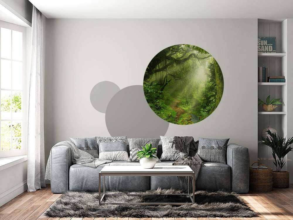 Dżungla z promieniami słońca